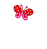 gif borboleta